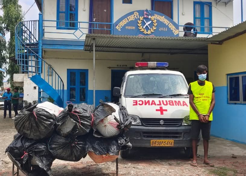 लागूऔषध गाँजा बोकेको भारतिय नम्वरको एम्वुलेन्स पक्राउ