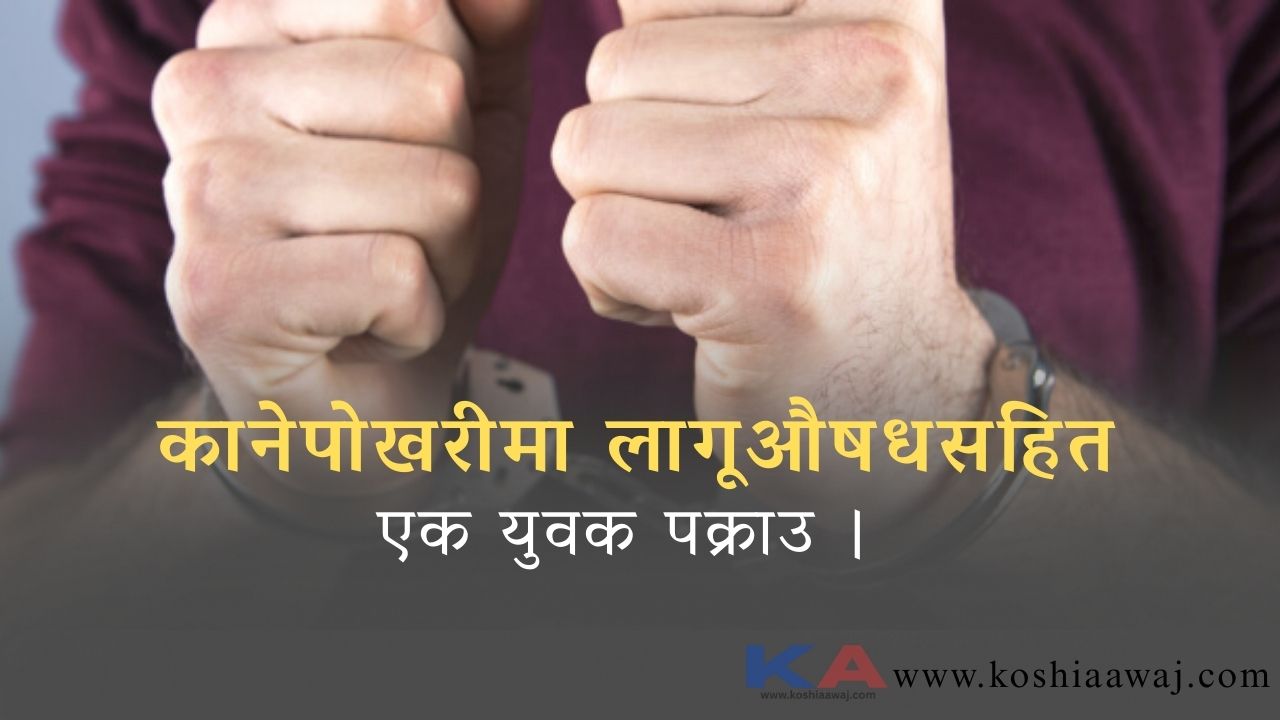 Websoft IT Nepal Pvt. Ltd.