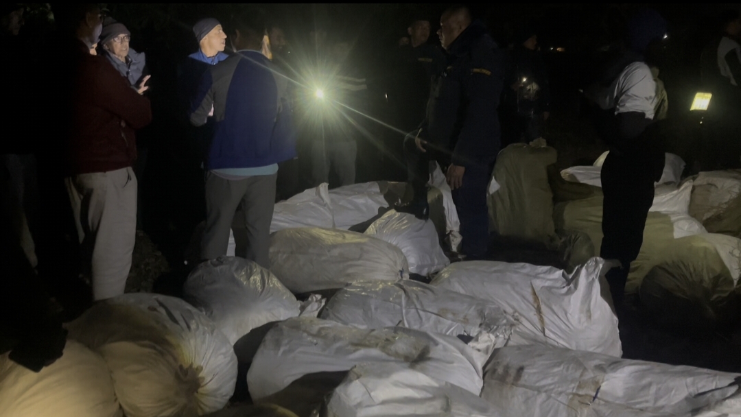 मोरङको रङ्गेलीमा प्रहरीले ९२१.६६ केजी गाँजा बरामद, अनुसन्धान जारी ।