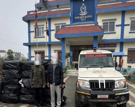 एम्बुलेन्समा लुकाइछिपाई ल्याइँदै गरेको ५२१ केजी गाँजासहित दुई जना पक्राउ ।