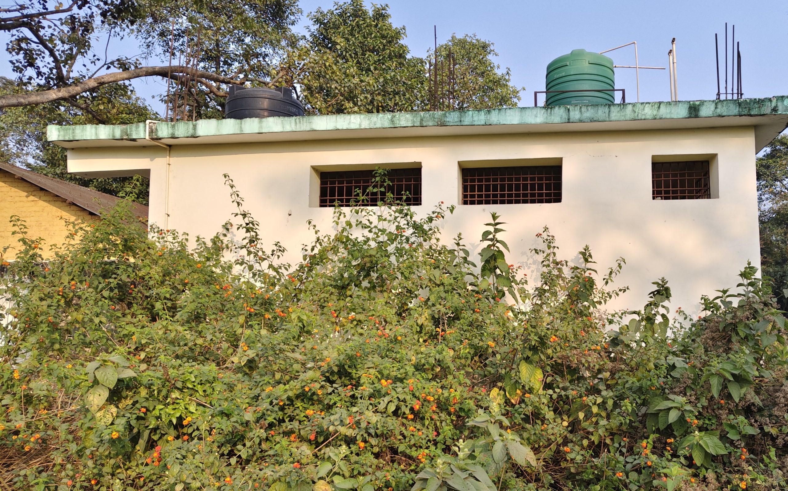 रङ्गेली–६ स्थित श्री पब्लिक माविमा २५ लाखको शौचालय प्रयोगविहीन, बजेट दुरुपयोगको आशंका