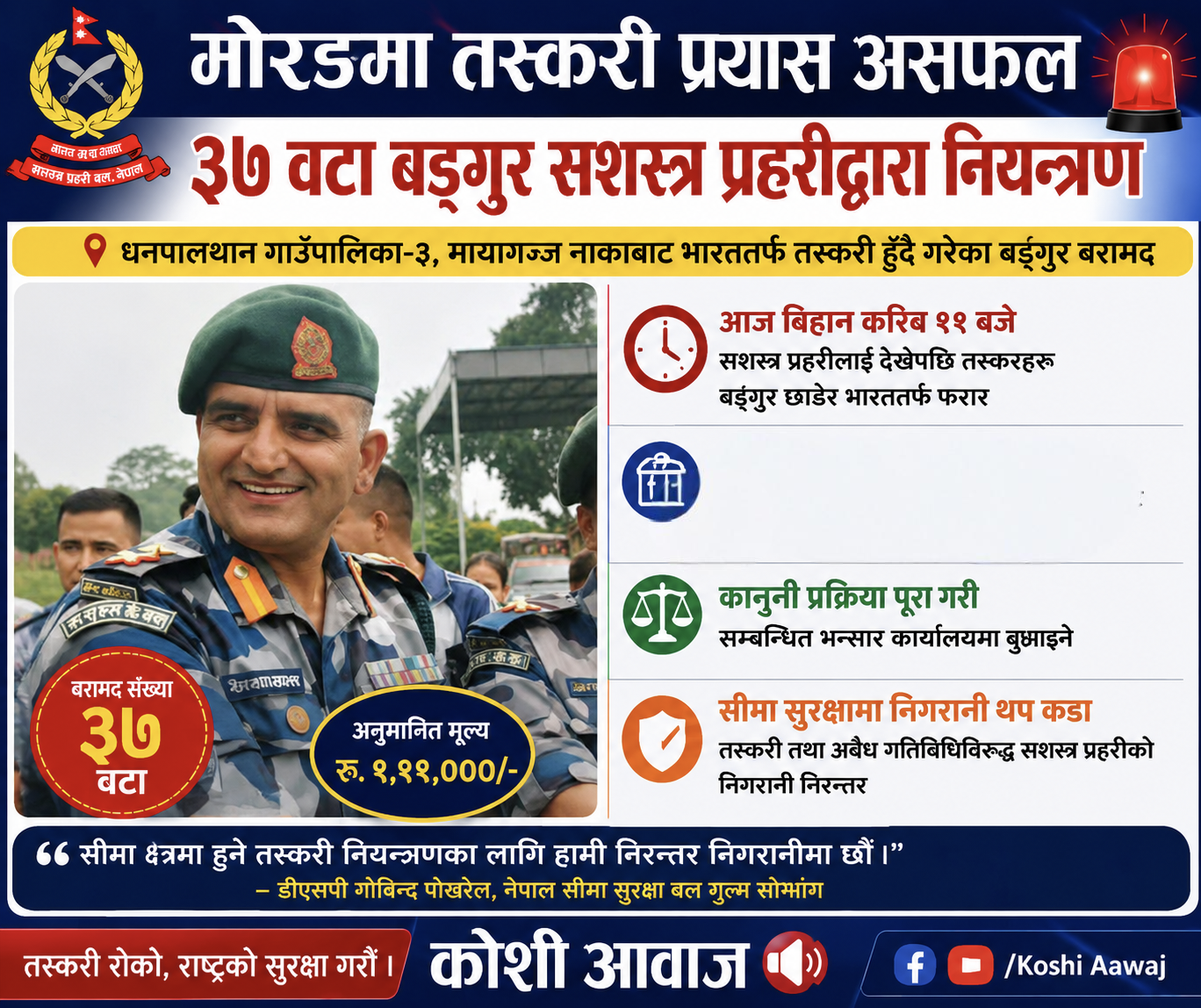 मोरङको धनपालथानबाट भारततर्फ तस्करी हुँदै गरेका ३७ वटा बङ्गुर सशस्त्रद्वारा नियन्त्रण ।