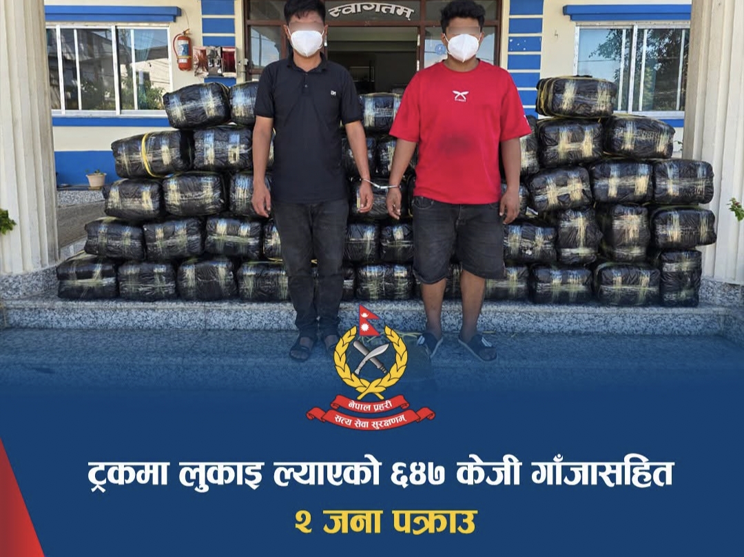 भेडेटारमा ट्रकबाट ६४७ केजी गाँजासहित चालक र सहचालक पक्राउ ।